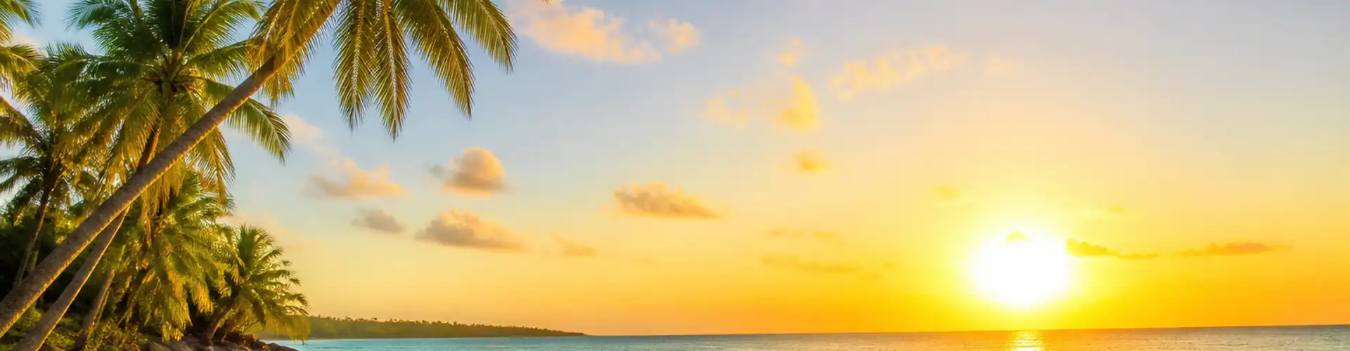 Tropical beach with palm trees and ocean