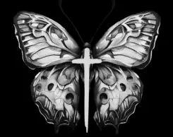 A butterfly with a cross on its wing.